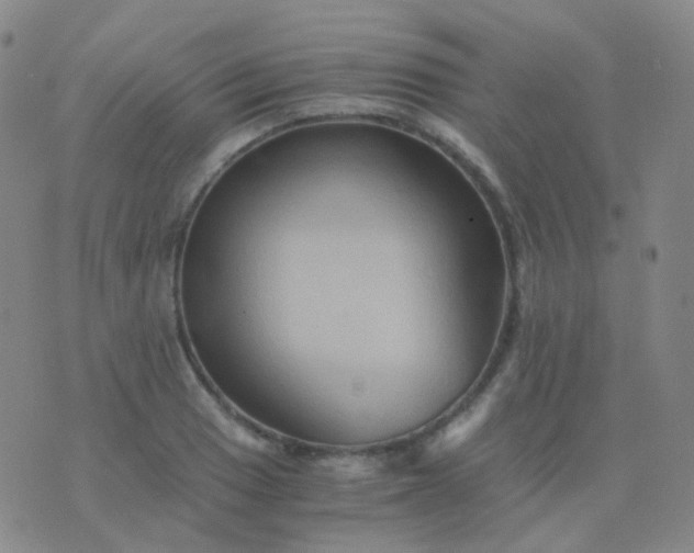 X0000076451033200610202330