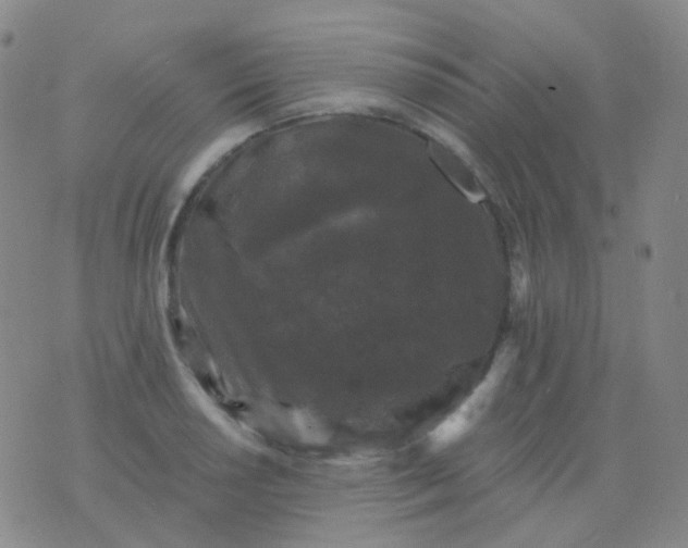 X0000076451034200610202330