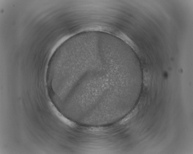 X0000076451036200610202330