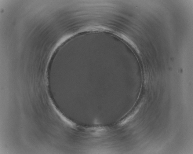 X0000076451037200610202330