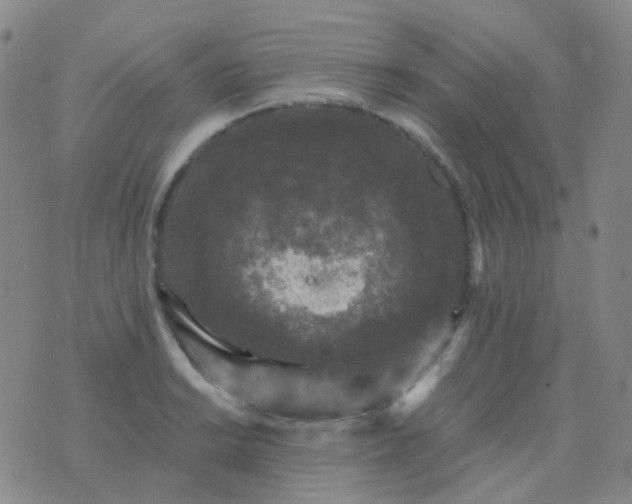 X0000076451038200610202330