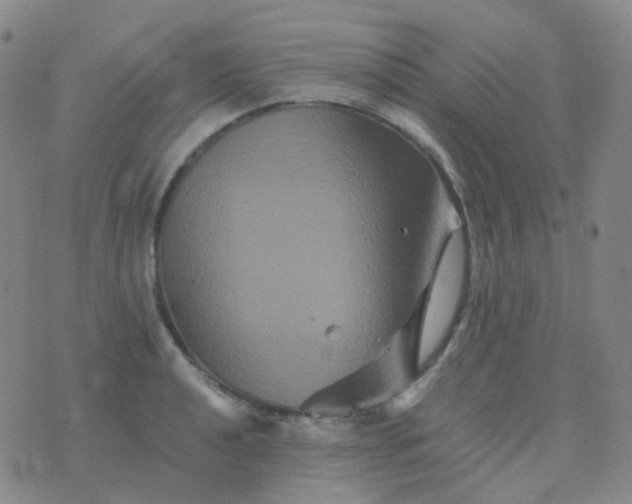 X0000076451040200610202330