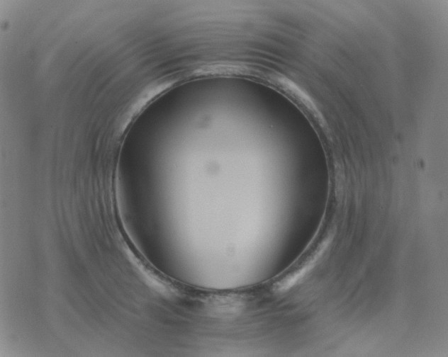 X0000076451041200610202330