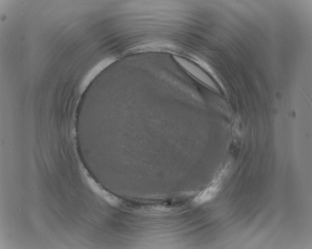 X0000076451042200610202330