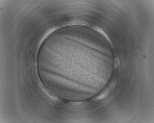 X0000076451043200610202330