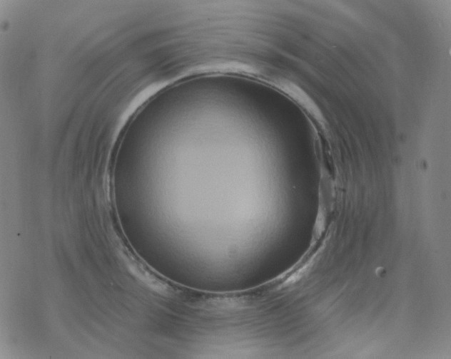 X0000076451044200610202330