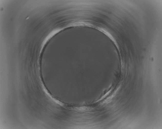 X0000076451045200610202330