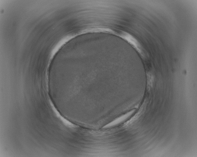 X0000076451046200610202330