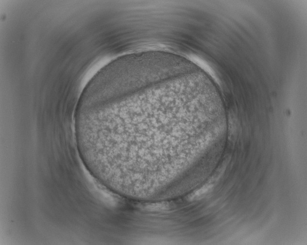 X0000076451047200610202330