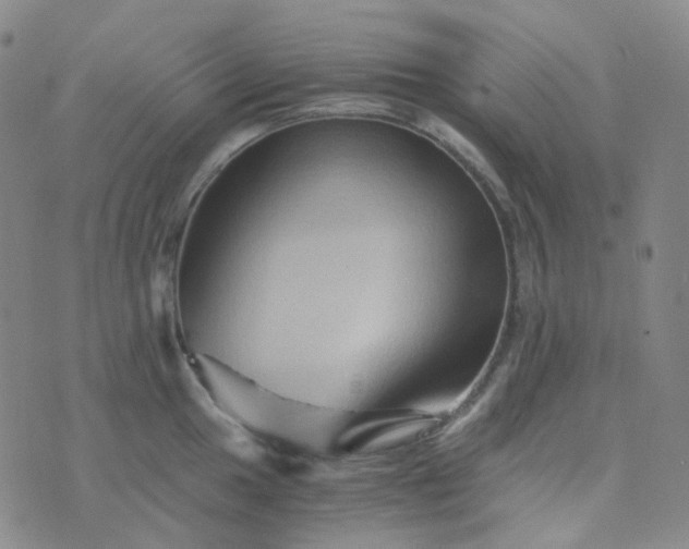 X0000076451049200610202330