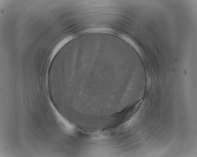 X0000076451050200610202330