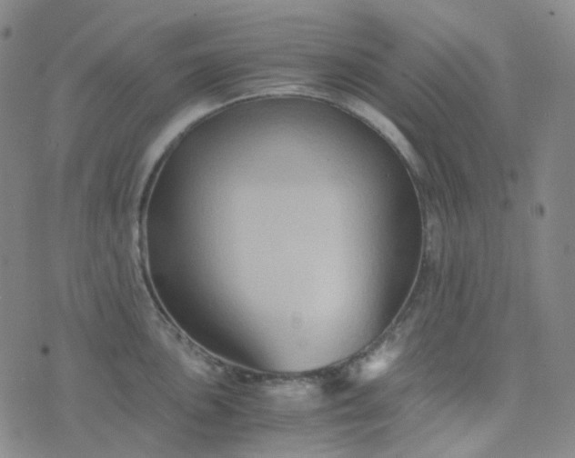 X0000076451051200610202330