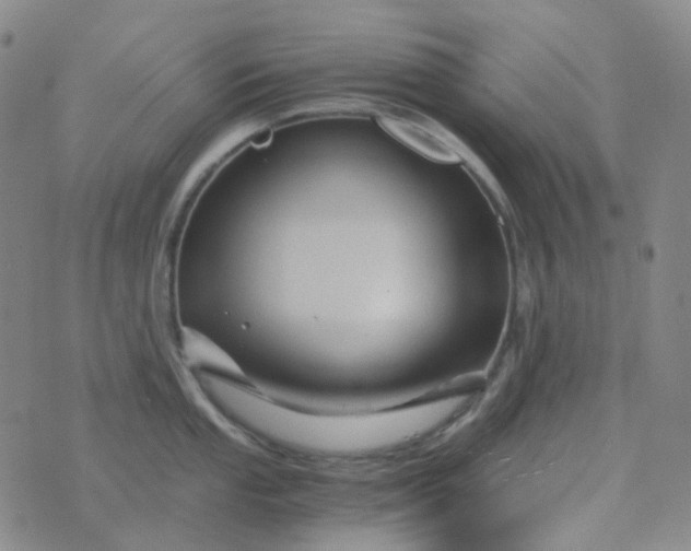 X0000076451053200610202330