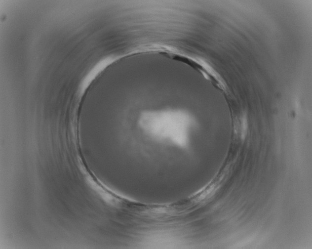 X0000076451054200610202330