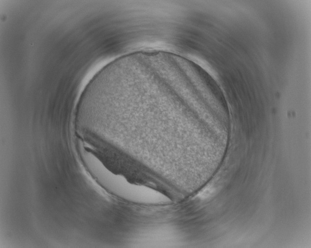 X0000076451056200610202330