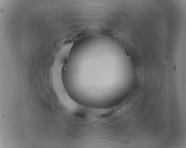 X0000076451057200610202329