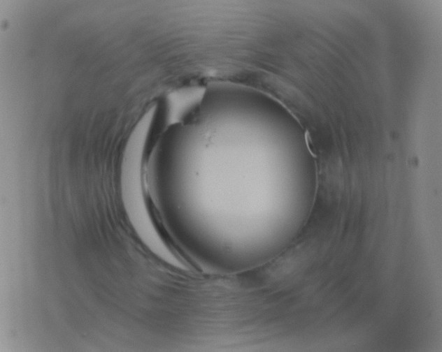 X0000076451058200610202329