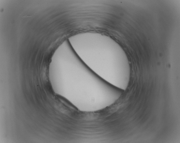 X0000076451060200610202329