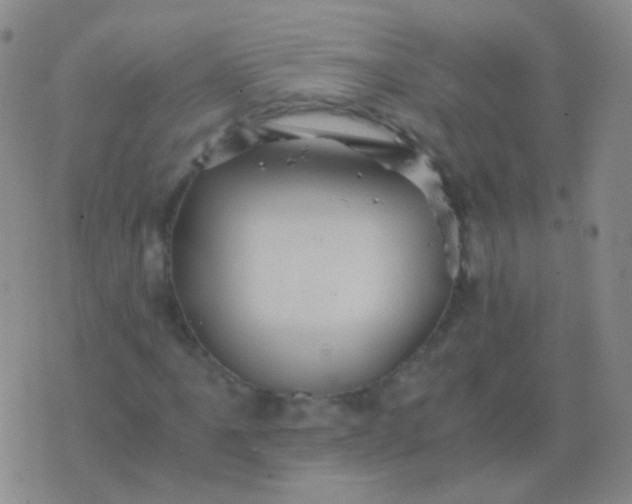 X0000076451061200610202329