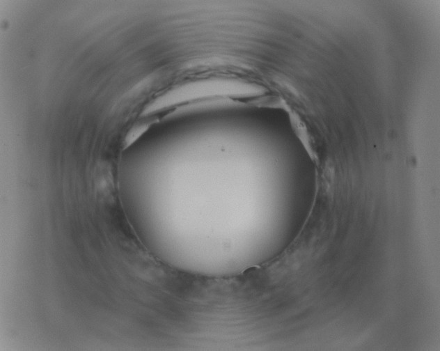 X0000076451062200610202329