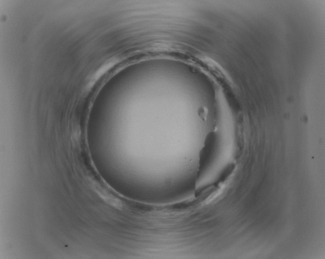 X0000076451065200610202329