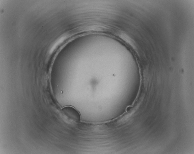 X0000076451067200610202329