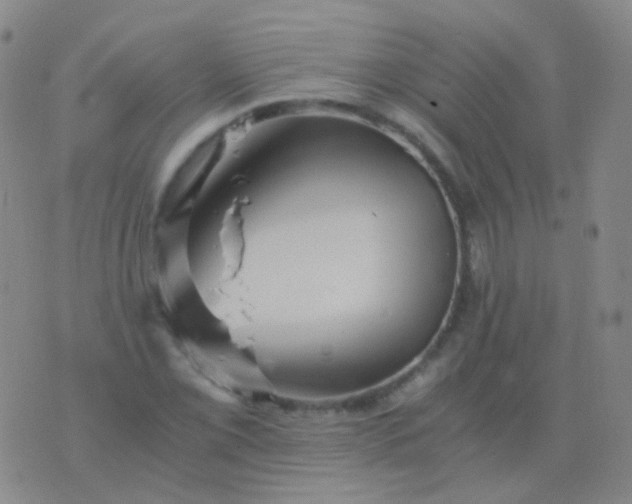 X0000076451069200610202329