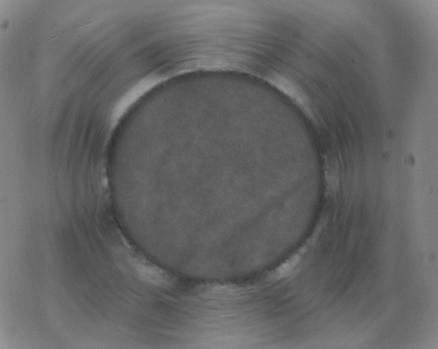 X0000076451070200610202329