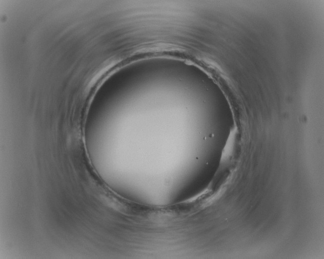 X0000076451073200610202329