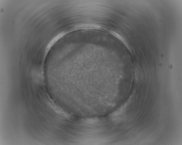 X0000076451074200610202329