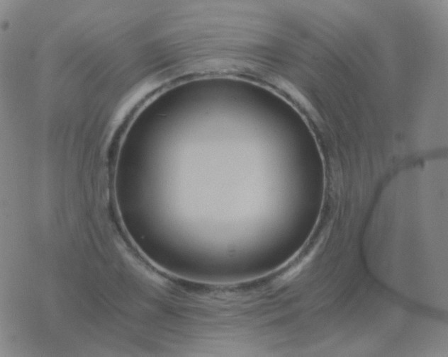 X0000076451075200610202329