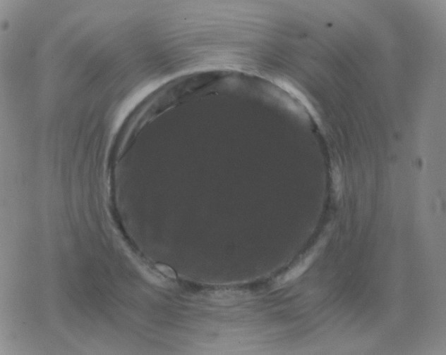 X0000076451077200610202329