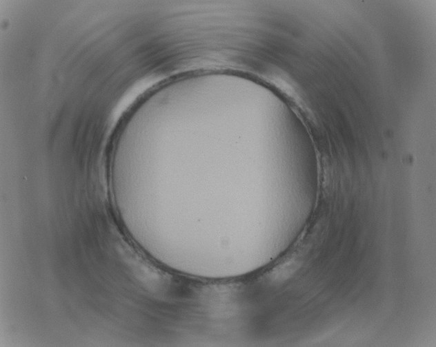 X0000076451078200610202329