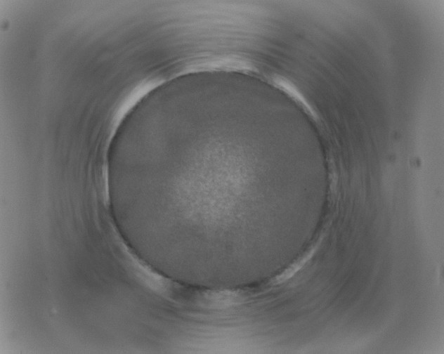 X0000076451079200610202329