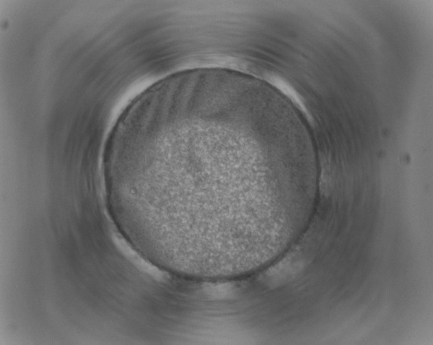 X0000076451080200610202329