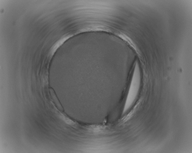 X0000076451081200610202329