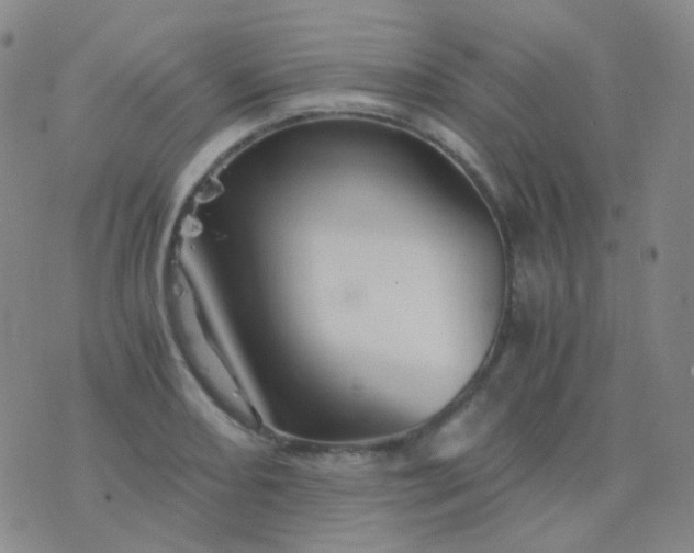 X0000076451082200610202329