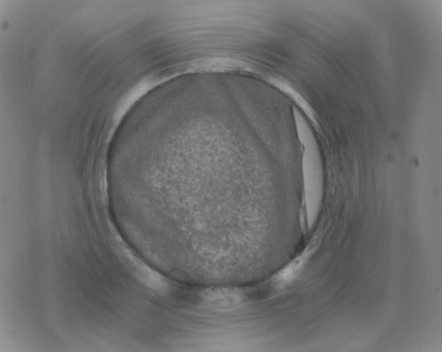 X0000076451083200610202329