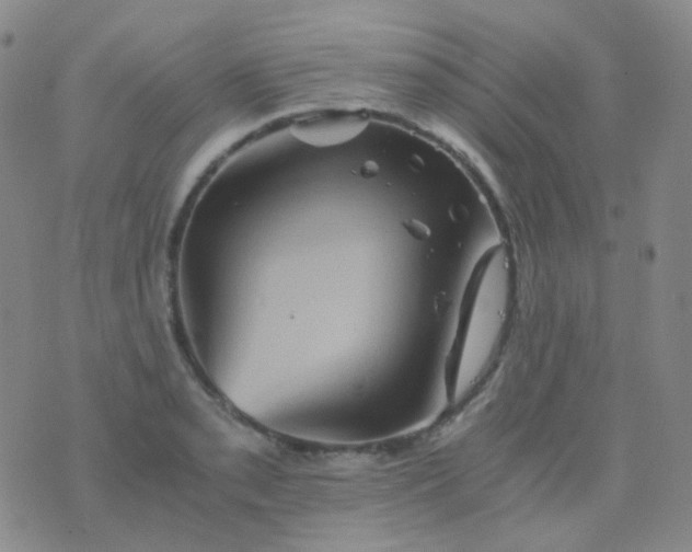 X0000076451085200610202329