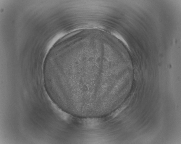 X0000076451087200610202329