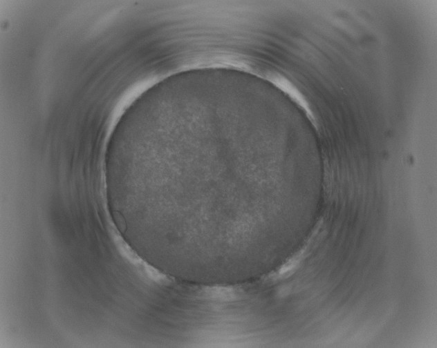 X0000076451088200610202329