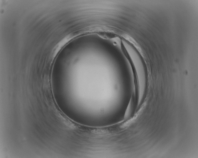 X0000076451089200610202329