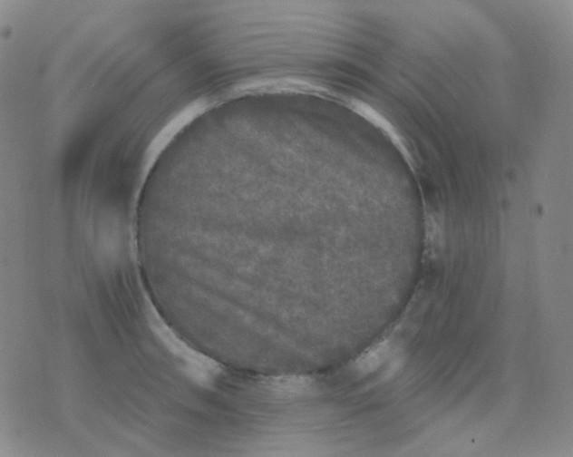 X0000076451090200610202329