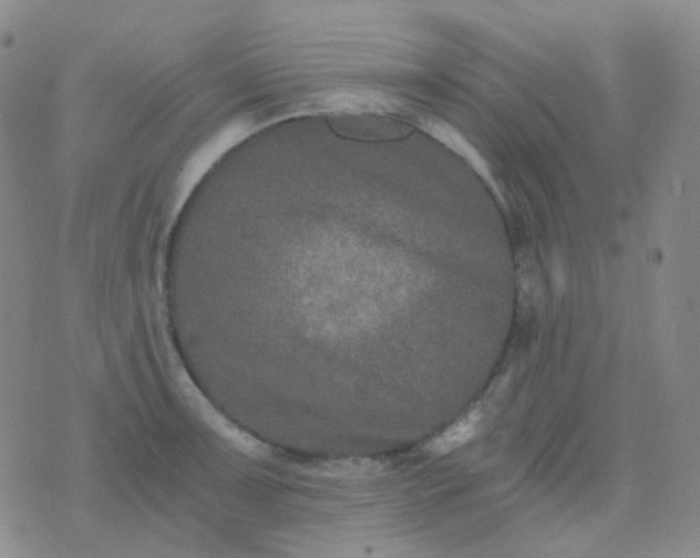 X0000076451091200610202329