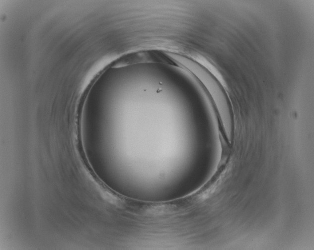 X0000076451093200610202329