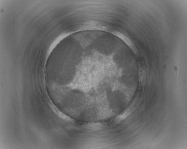 X0000076451094200610202329