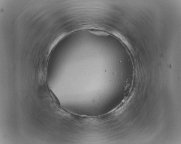 X0000076451097200610202328