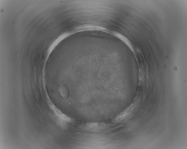 X0000076451098200610202328