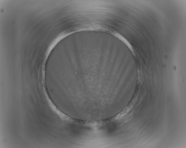 X0000076451099200610202328