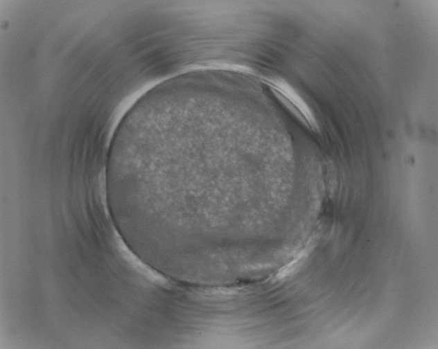 X0000076451100200610202328